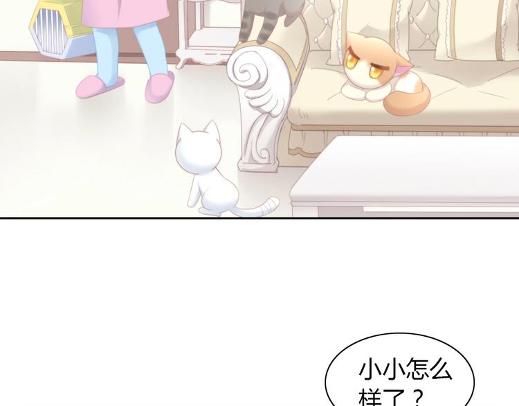 第114话 猫咪也要刷牙！58