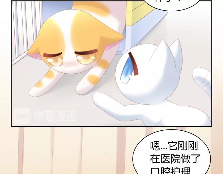 第114话 猫咪也要刷牙！59
