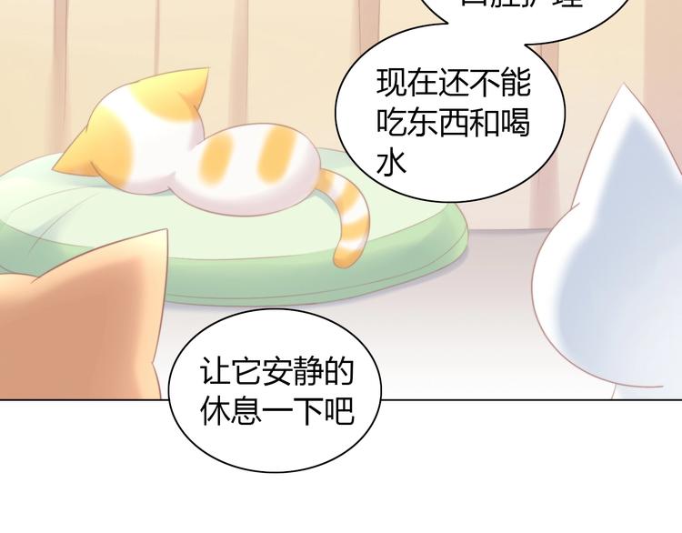 第114话 猫咪也要刷牙！60