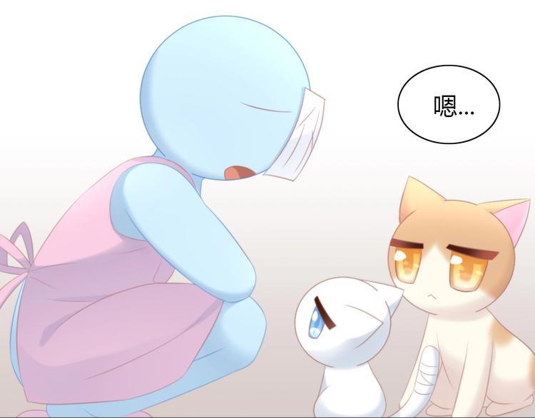 第114话 猫咪也要刷牙！63