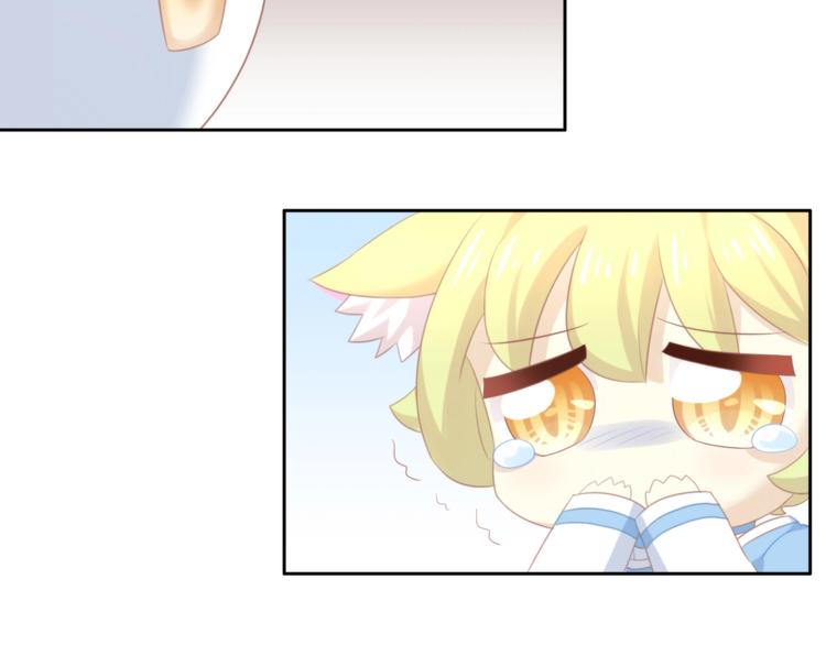 第114话 猫咪也要刷牙！78