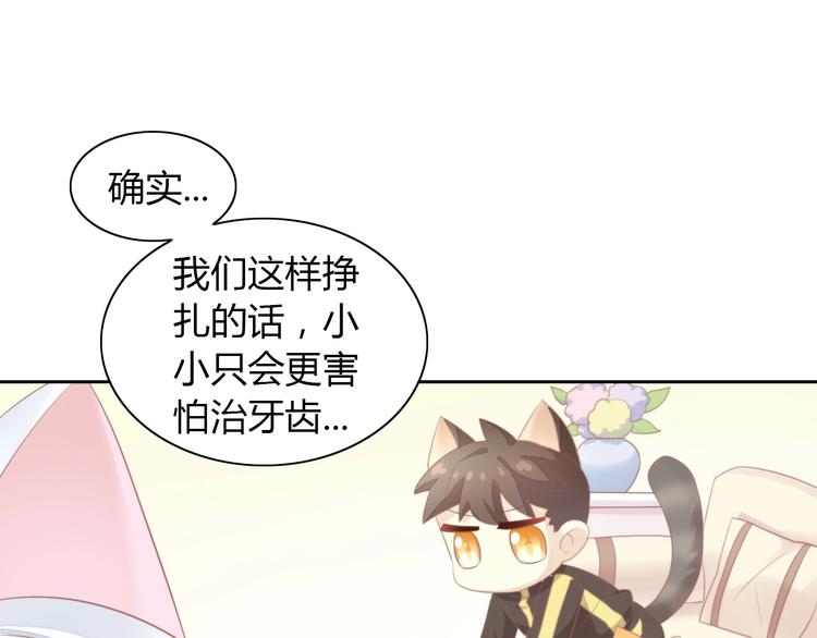 第114话 猫咪也要刷牙！82