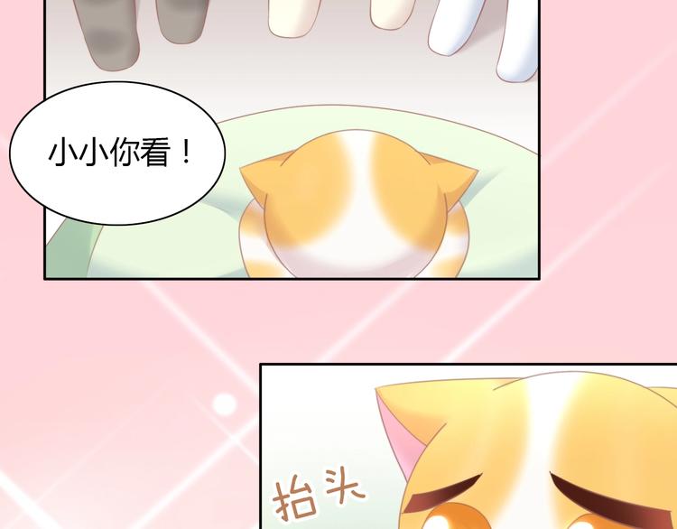 第114话 猫咪也要刷牙！84