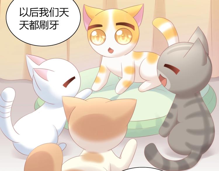 第114话 猫咪也要刷牙！88