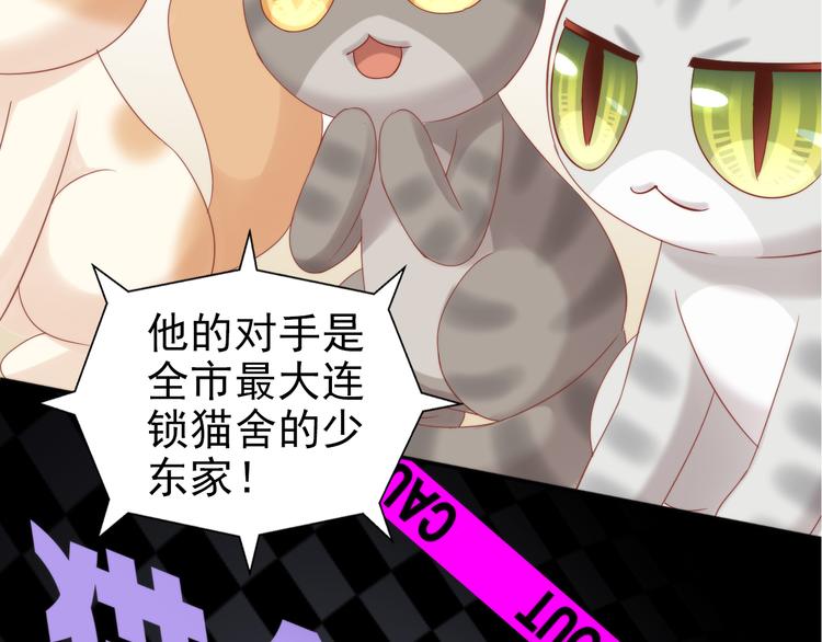 第134话  撸猫技师（二）10