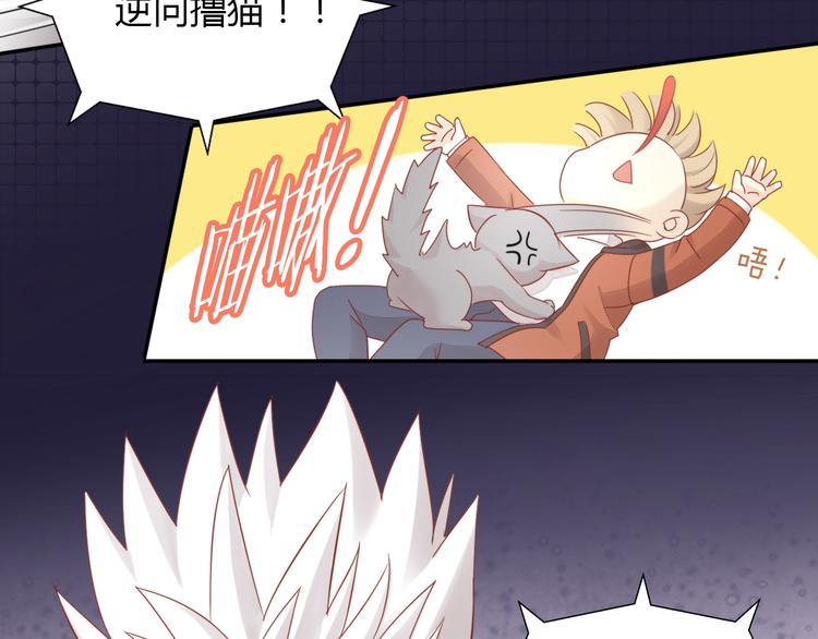 第134话  撸猫技师（二）29