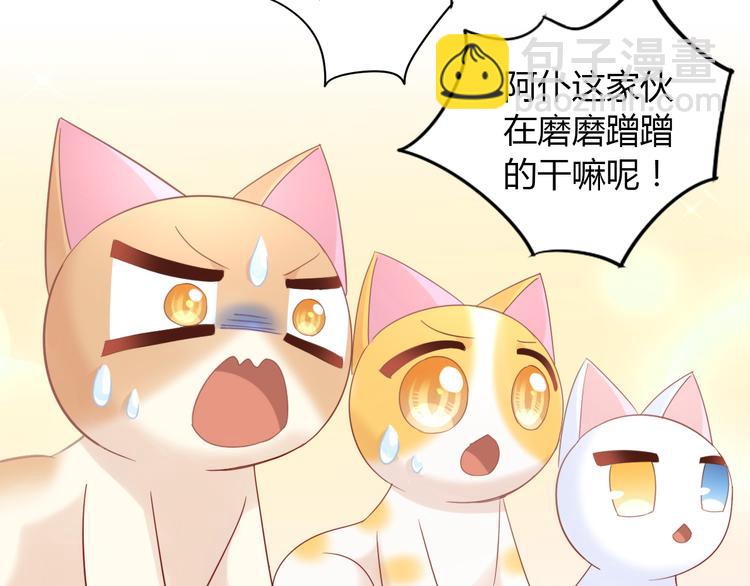 第134话  撸猫技师（二）46