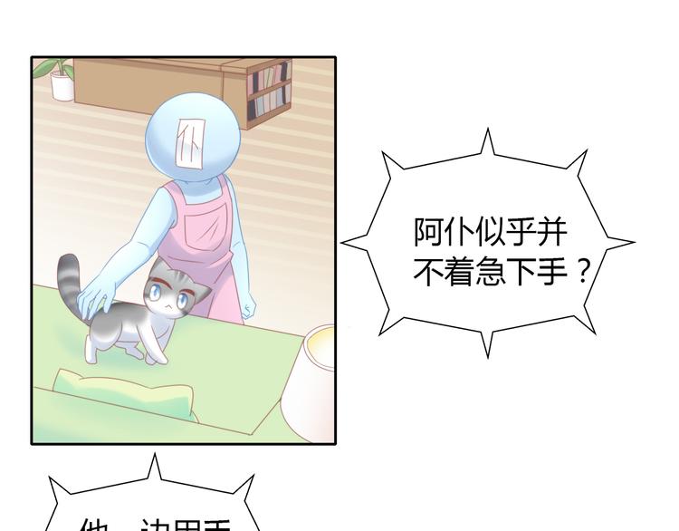 第134话  撸猫技师（二）53