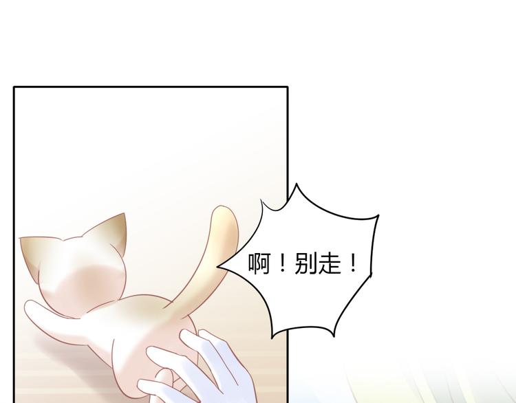 第134话  撸猫技师（二）57
