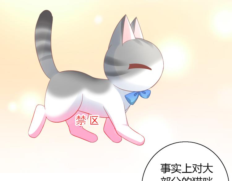 第134话  撸猫技师（二）62