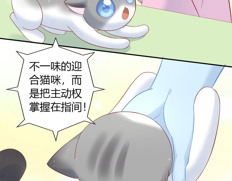 第134话  撸猫技师（二）68