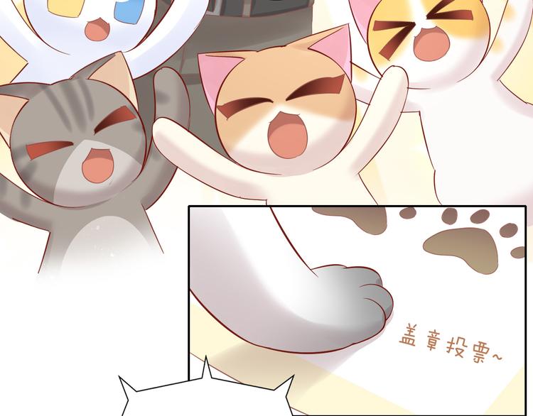 第134话  撸猫技师（二）72