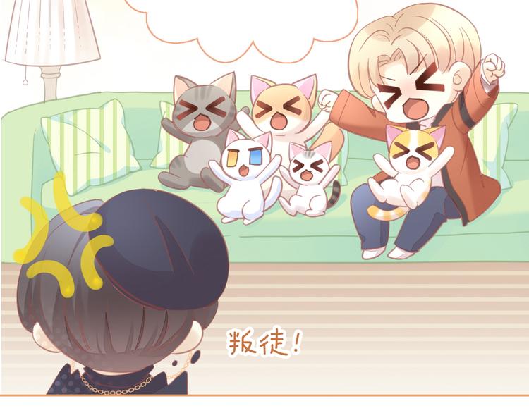 第135话 撸猫技师（三）13