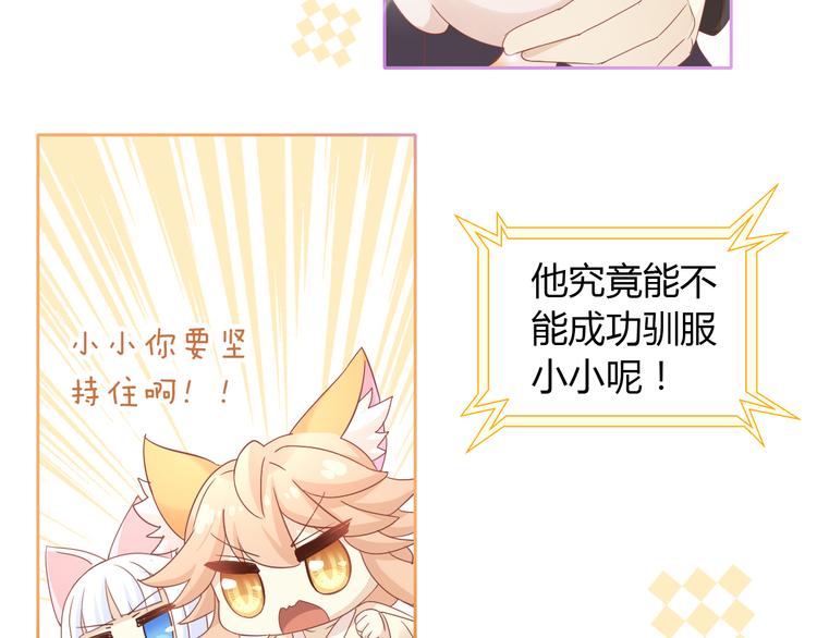 第135话 撸猫技师（三）25