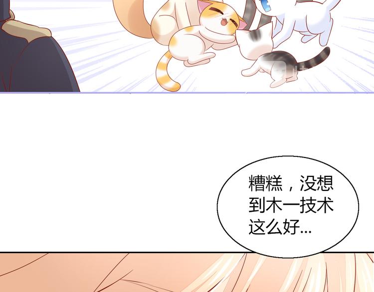 第135话 撸猫技师（三）42