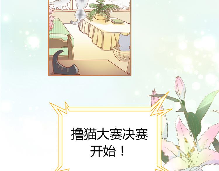 第135话 撸猫技师（三）6