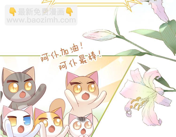第135话 撸猫技师（三）7