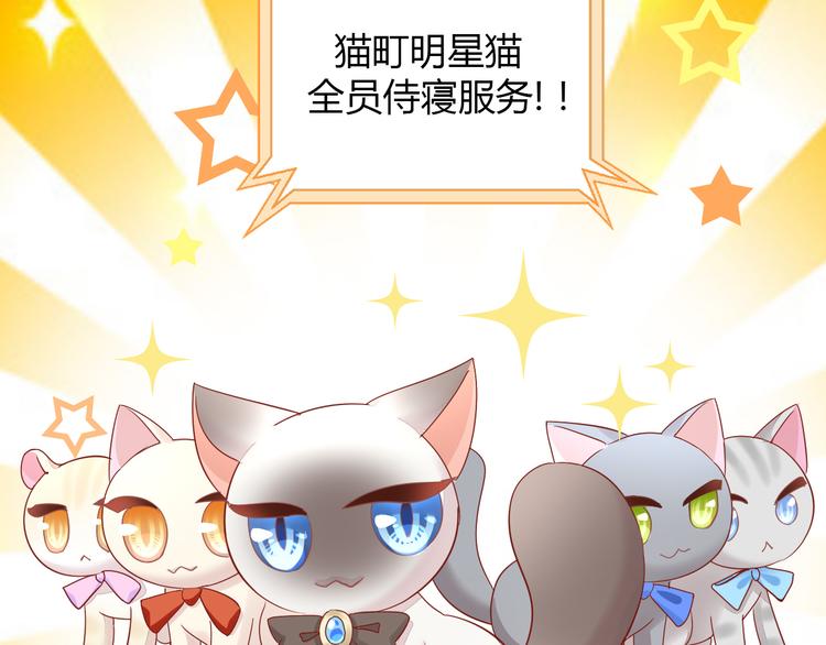 第135话 撸猫技师（三）77