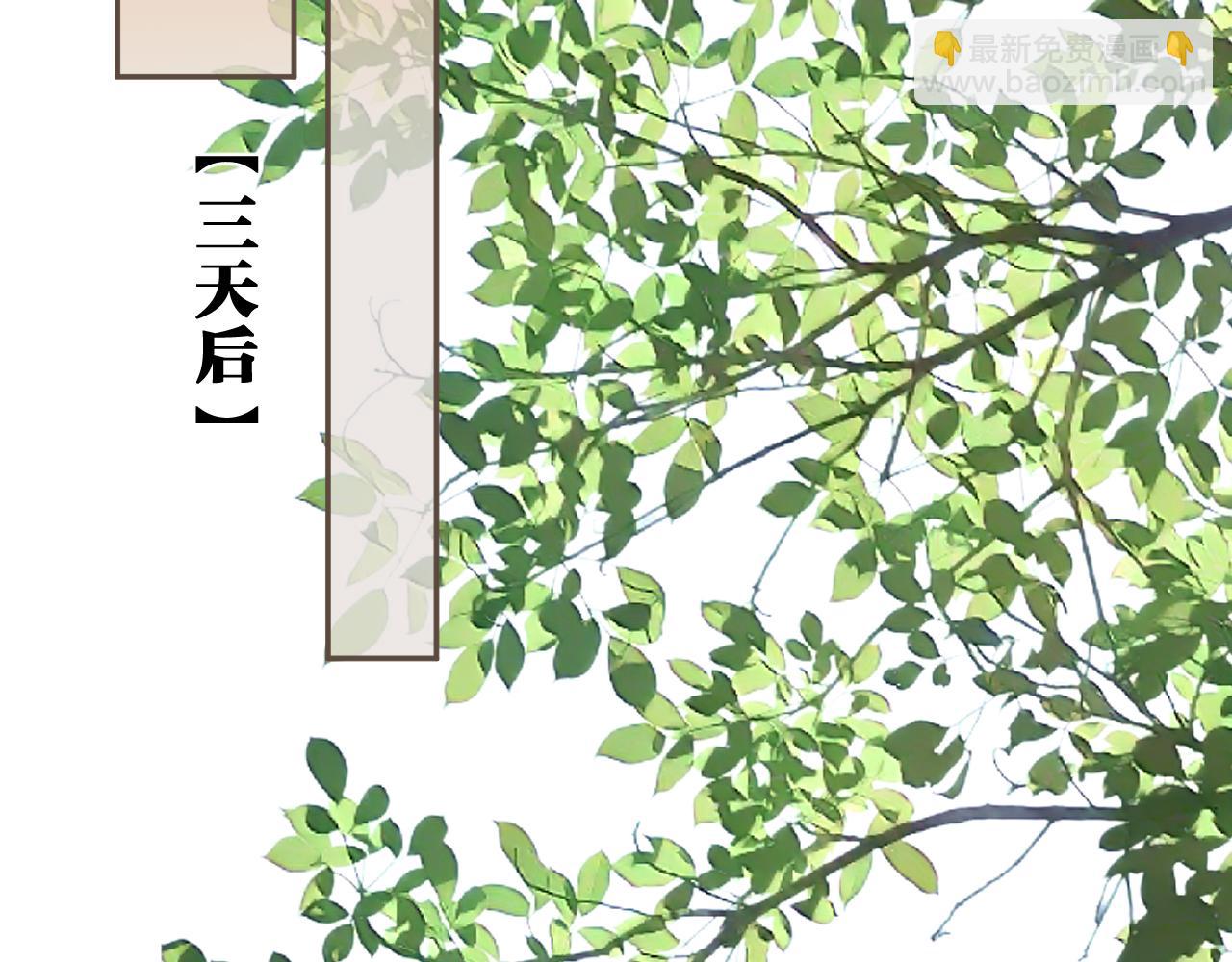 第29话  药33