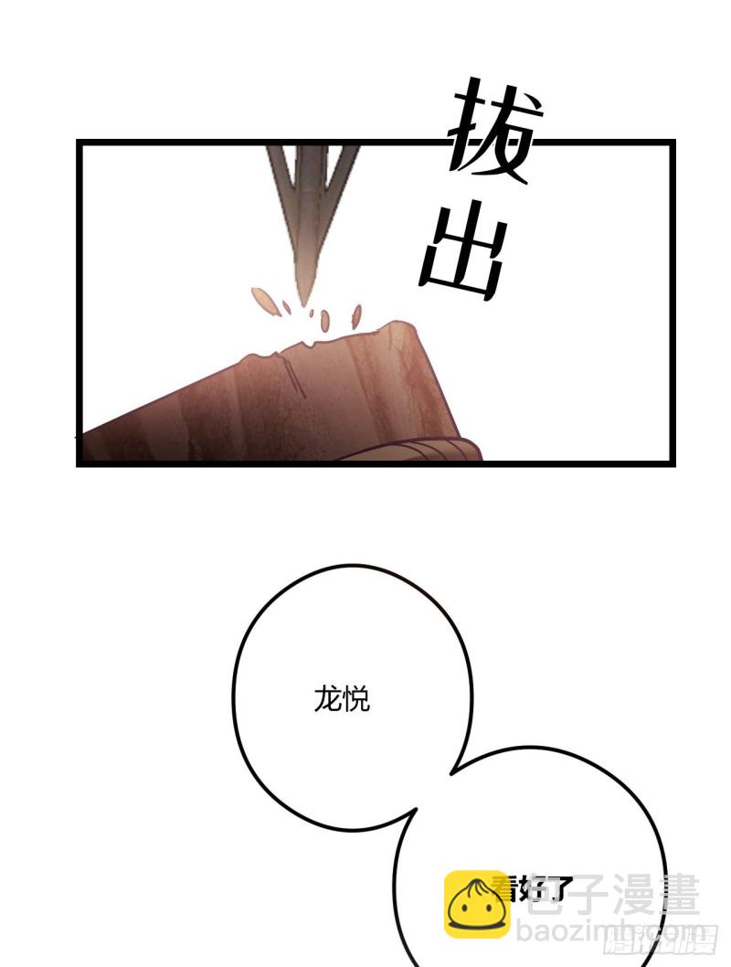 第71话 龙悦的身世5