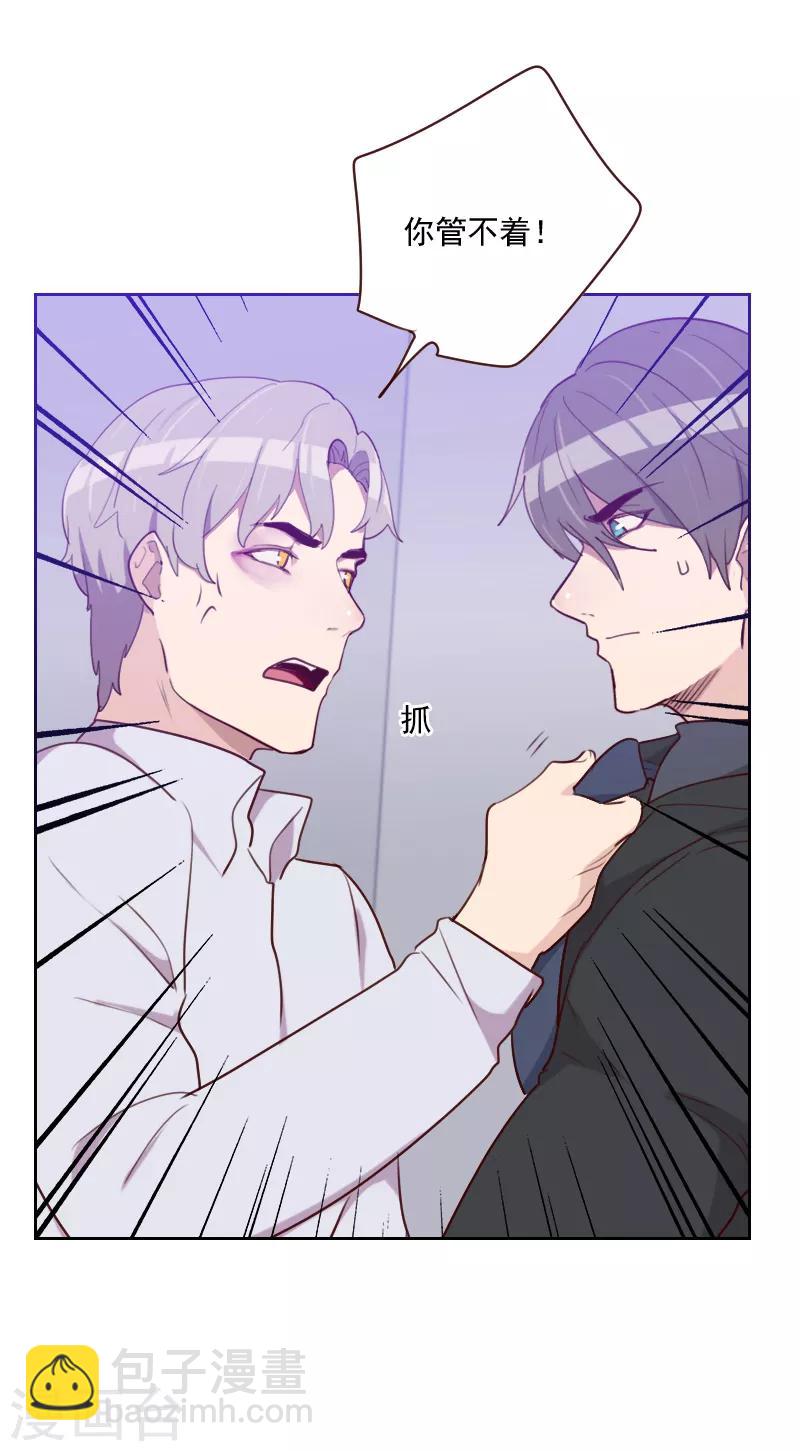 第146话 鞋子引发的战争3