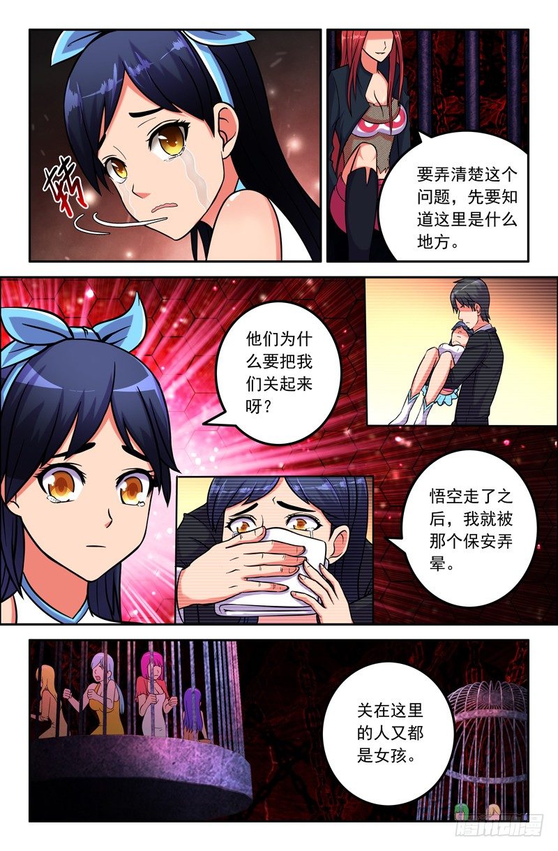 29 同类4