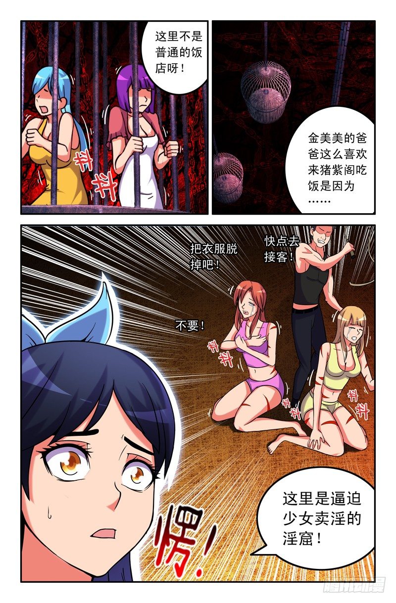 29 同类5