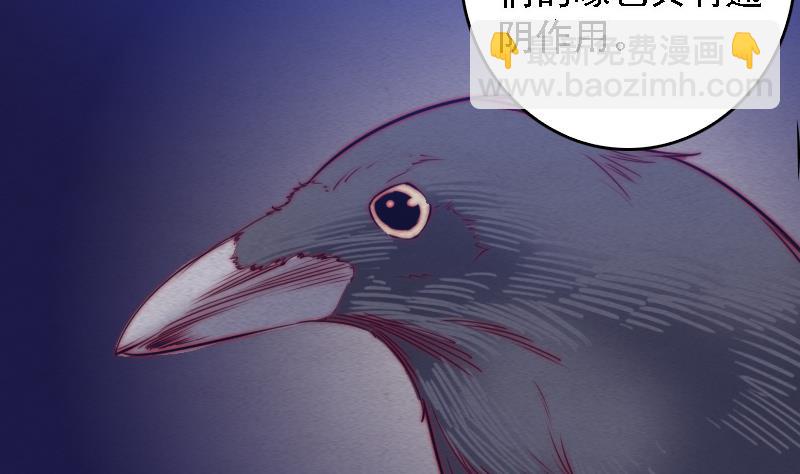第108话 缺一不可45