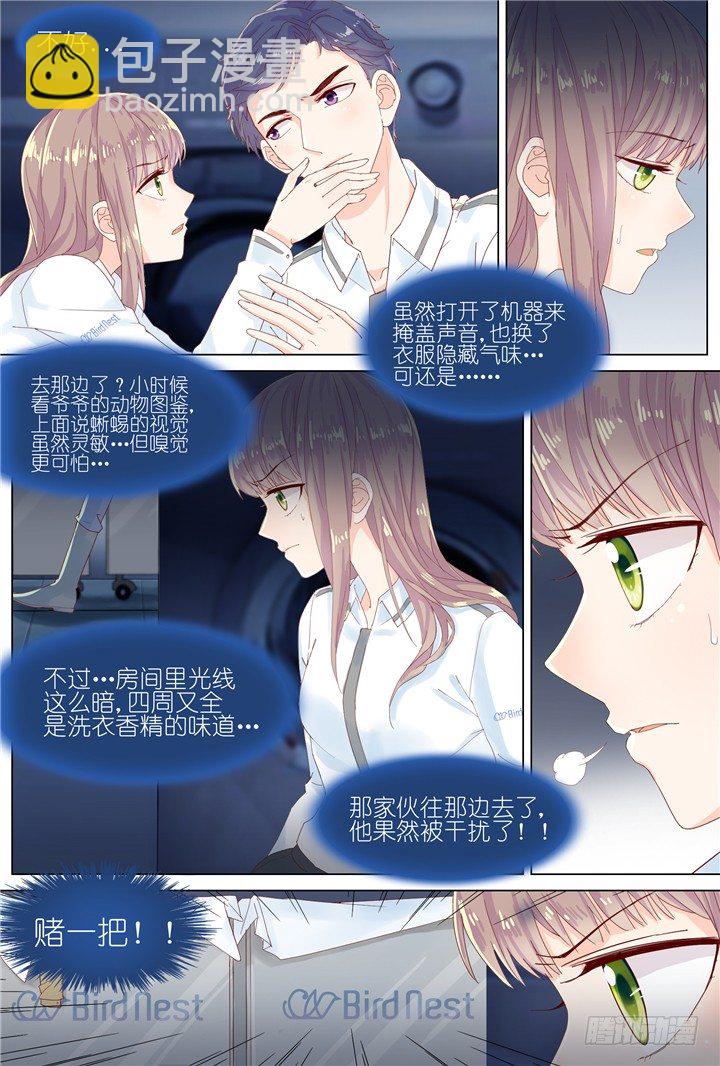 66.万羽之城74