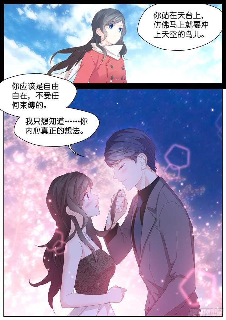 212.蓝色鸢尾43