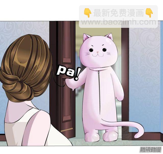 第44集 猫先生的守护2