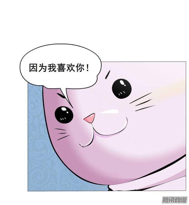 第44集 猫先生的守护21