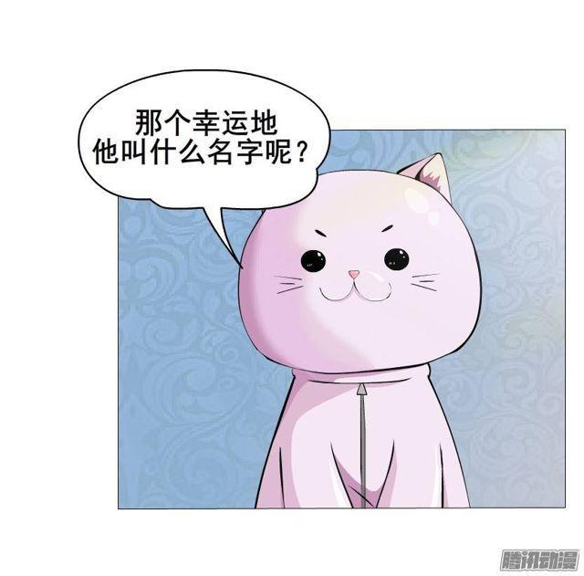 第44集 猫先生的守护26