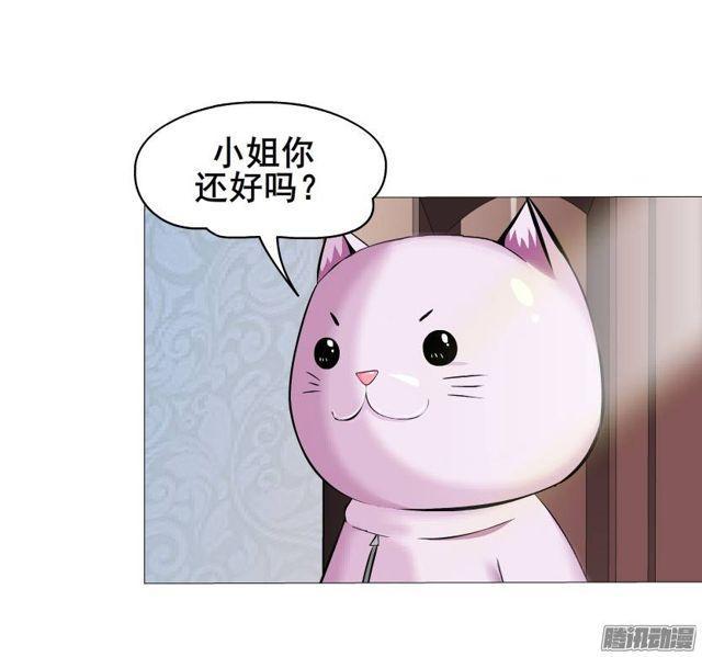 第44集 猫先生的守护3