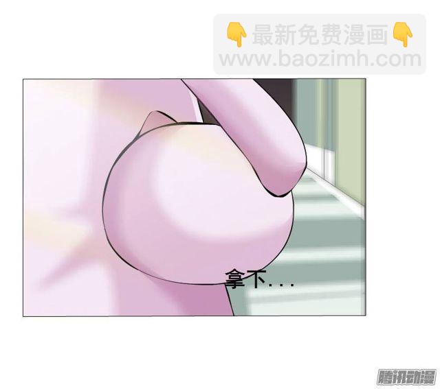 第44集 猫先生的守护33