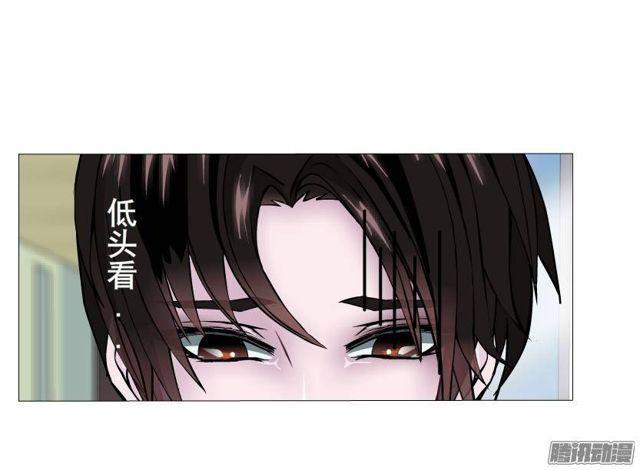 第44集 猫先生的守护35