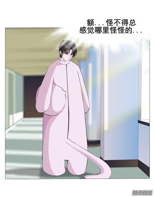 第44集 猫先生的守护36