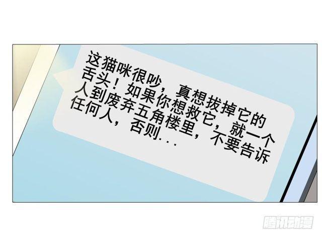 第二季 第20集 猫咪危机12