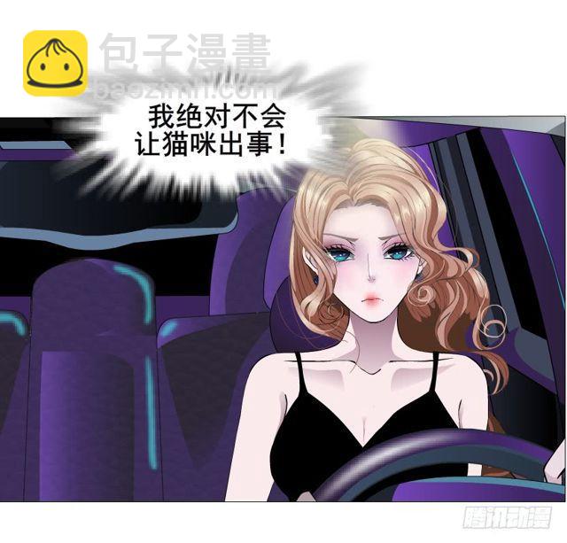 第二季 第20集 猫咪危机16