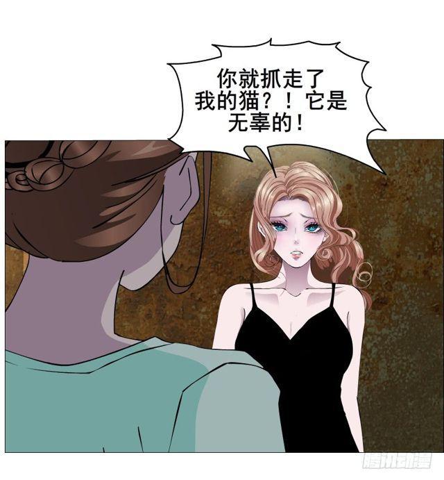 第二季 第20集 猫咪危机42