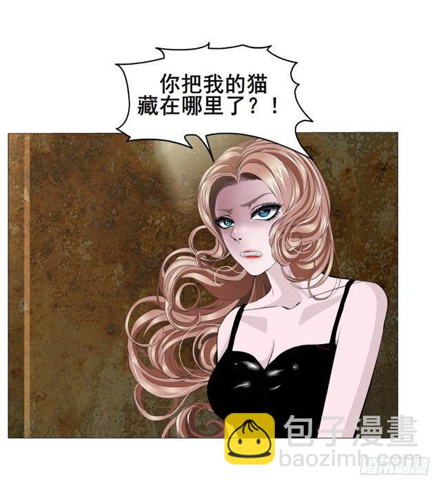 第二季 第20集 猫咪危机47