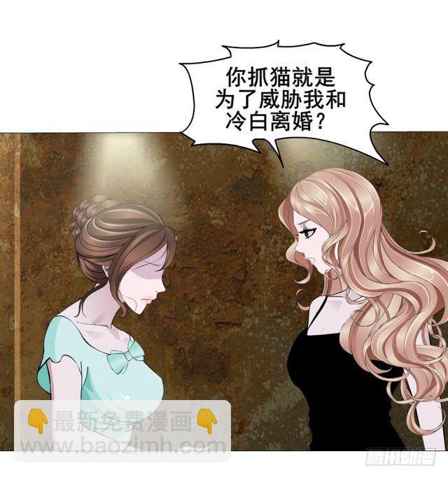 第二季 第20集 猫咪危机56