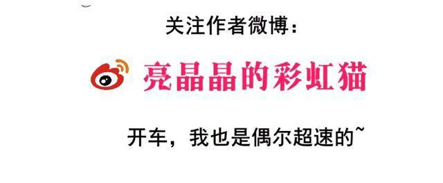 第二季 第20集 猫咪危机64