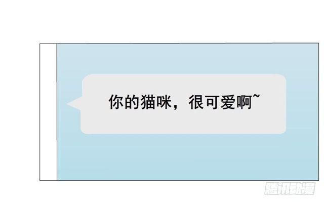 第二季 第20集 猫咪危机7