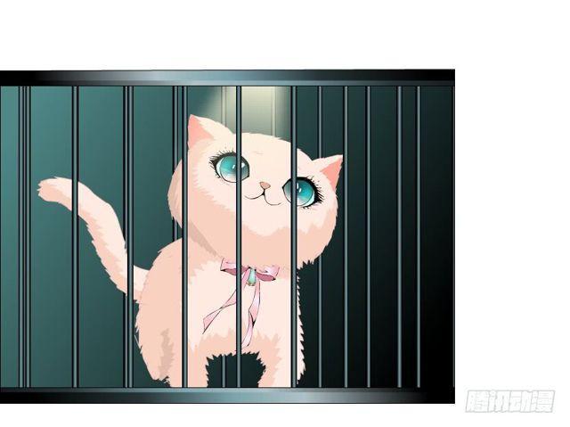 第二季 第20集 猫咪危机8