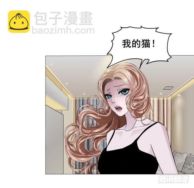 第二季 第20集 猫咪危机9