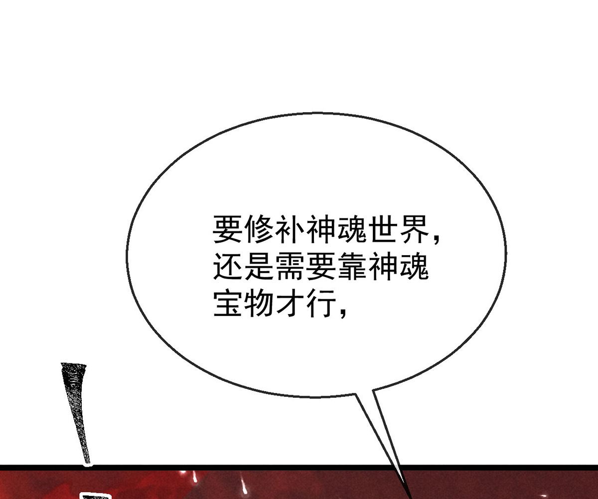 第116话 神魂宝物0