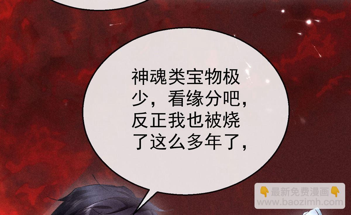 第116话 神魂宝物13