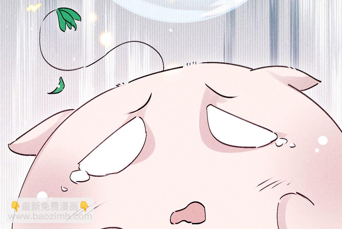 第116话 神魂宝物71