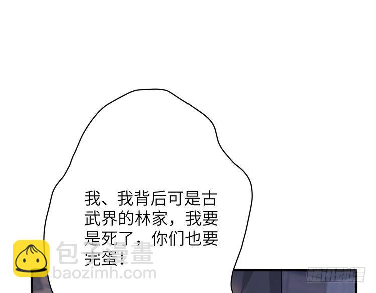 第160话 拜见师祖23